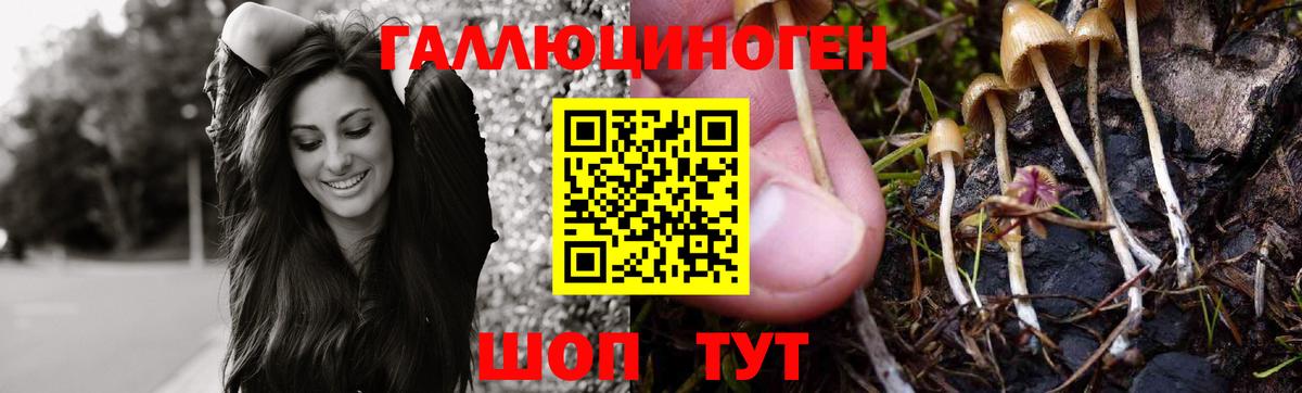 Удомля  Галлюциногенные грибы мухоморы  цены   Вход с VPN  Галлюциногенные грибы GOLDEN TEACHER 