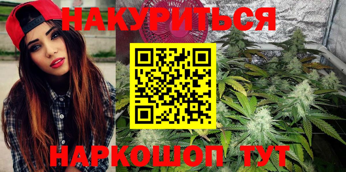 Бошки Шишки Amnesia  Марихуана план  Конопля OG Kush  Бошки марихуана конопля  Удомля  Вход с VPN 
